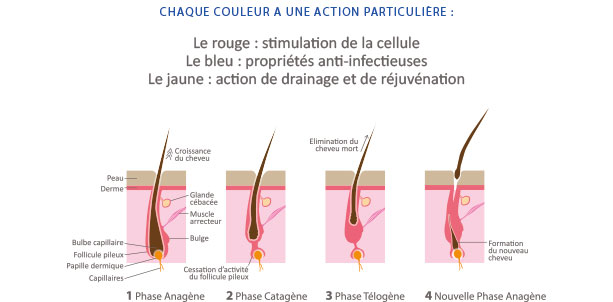 Luminodermie